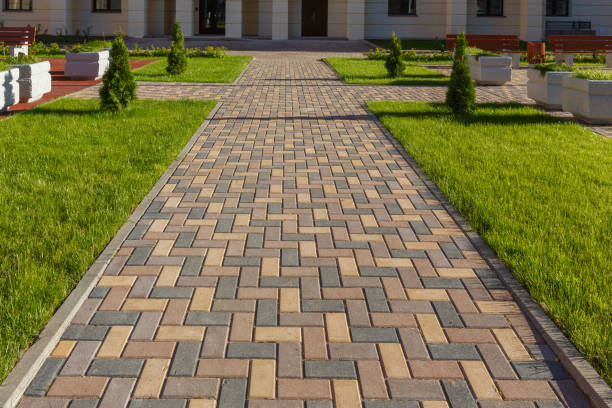 Best Custom Driveway Pavers  in Dundee, MI